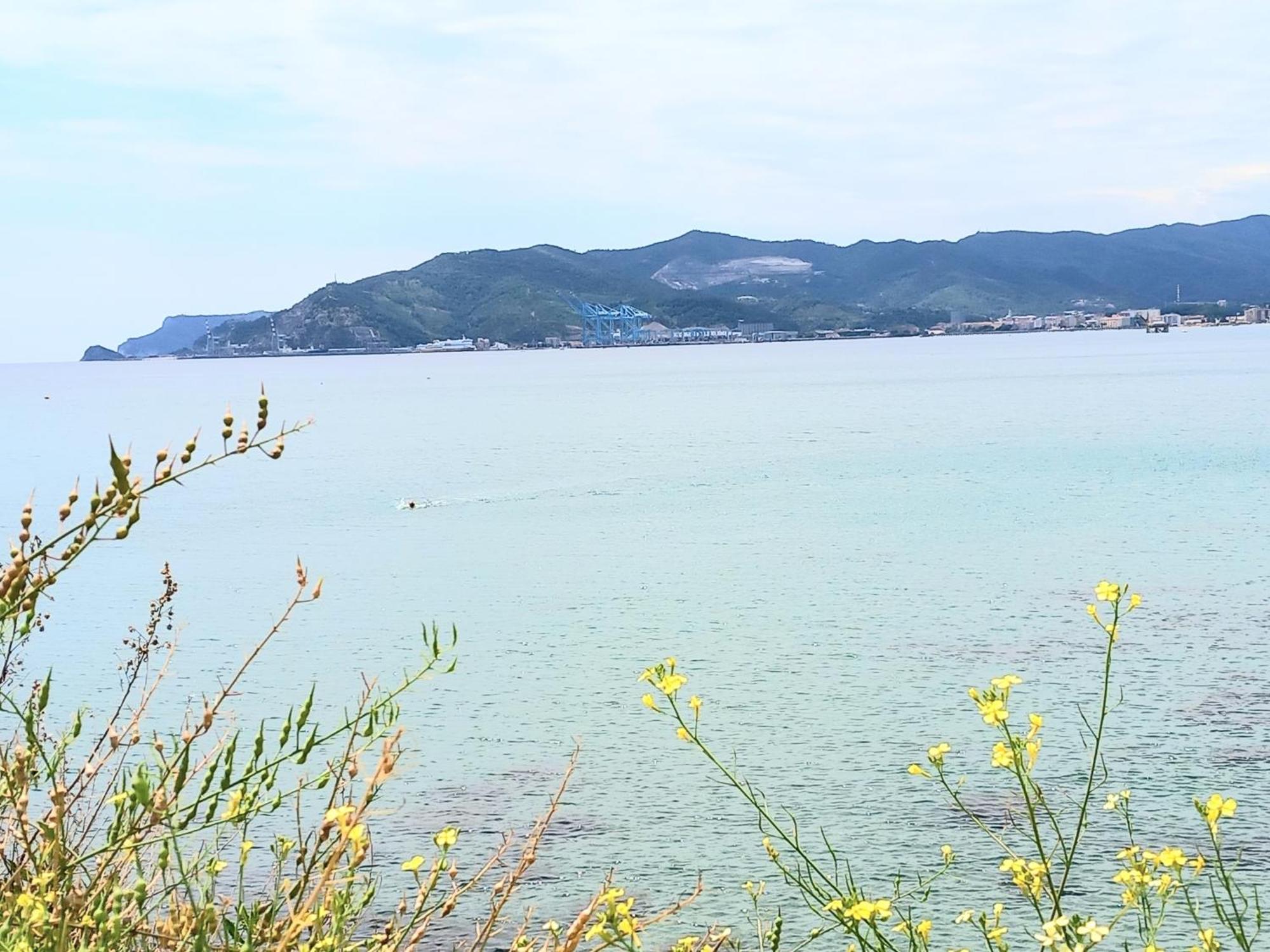 Tramonto Sul Mare - Sea Suite ซาโวนา ภายนอก รูปภาพ